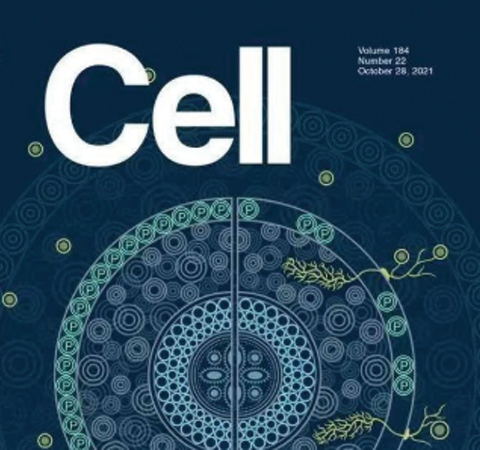 祝賀王二濤老師團隊又一佳作榮登Cell期刊！