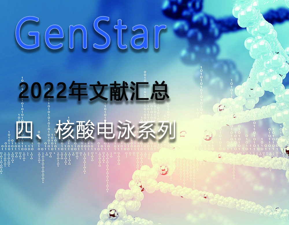 GenStar 2022年文獻匯總（四、核酸電泳系列）